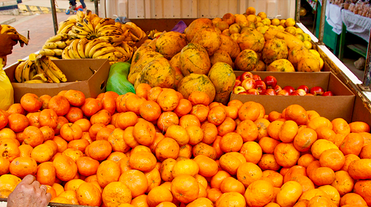 Frutas à venda no Mercado de Los Pozos