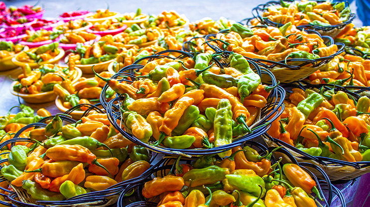 Variedade de pimentas expostas no Mercado Central de Paramaribo.