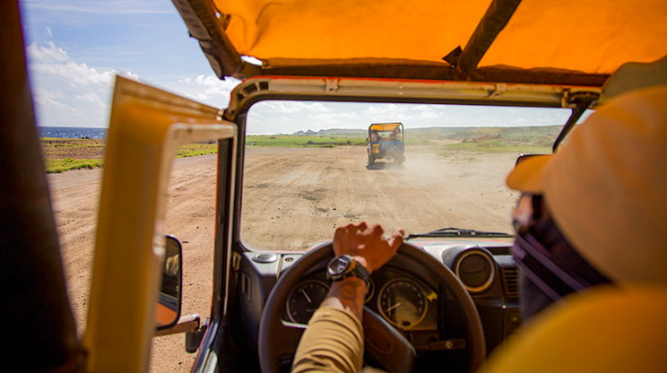 Safari en Jeep