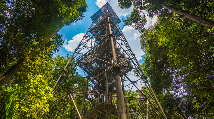 Torre da reserva florestal Adolpho Ducke, em Manaus. 