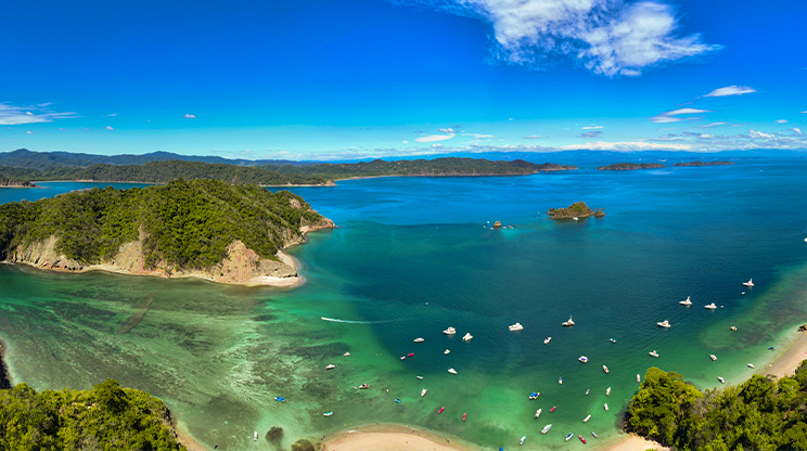 Ilha Tortuga