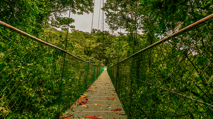 La Fortuna