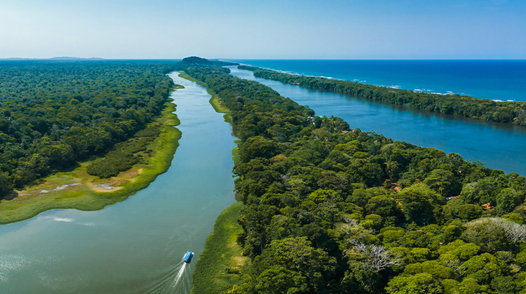 Parque Nacional Tortuguero