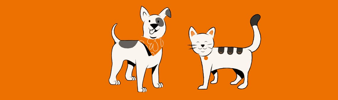 Viajando com animais de estimação