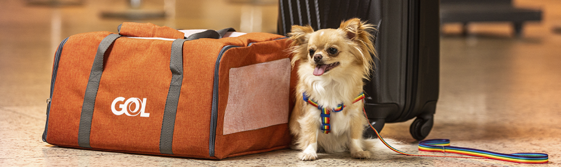 Viajar con mascotas