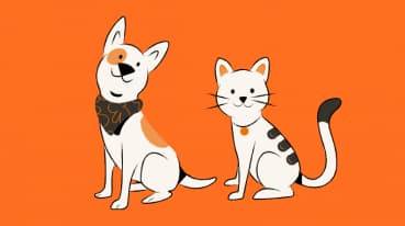 Dog&Cat na cabine