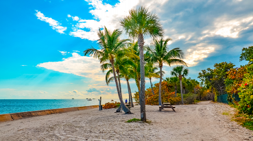 Coqueiros na areia da praia do Bill Baggs, na Flórida, com vegetação de um lado e o mar de outro, fundindo-se com o céu.