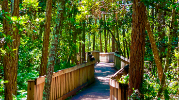 Parque em Orlando com um caminho para trilhas no meio da vegetação.