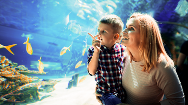 Uma mulher segura um menino no colo e ambos observam um grande aquário com peixes no Sea World.