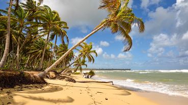 Imagem de Uvero Alto com a praia deserta, palmeiras e o mar.